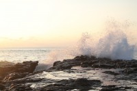 /album/andreamichelc/img-6034-jpg/