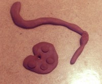 /album/andreamichelc/img-6706-jpg1/