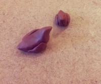 /album/andreamichelc/img-6708-jpg1/