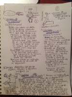 /album/andreamichelc/img-6744-jpg1/