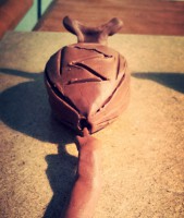 /album/andreamichelc/img-20150129-025705-jpg1/