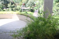 /album/andreamichelc/img-6295-jpg1/