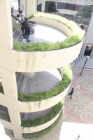 /album/andreamichelc/img-6300-jpg1/