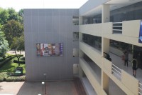 /album/andreamichelc/img-6305-jpg1/