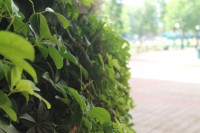 /album/andreamichelc/img-6315-jpg1/