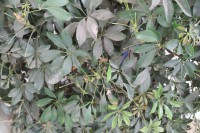 /album/andreamichelc/img-6317-jpg1/